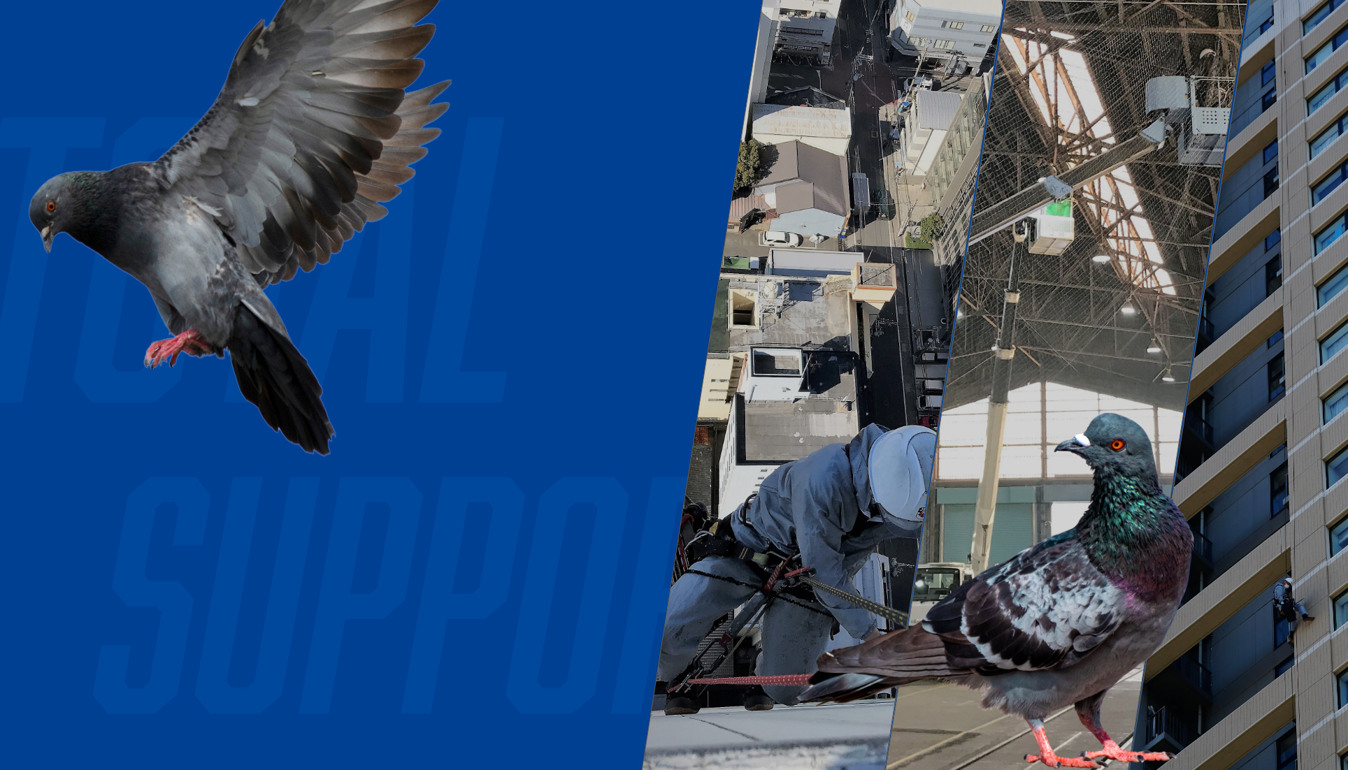 西松地所株式会社